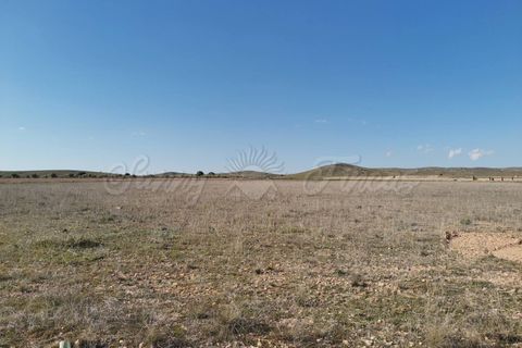 Helårsgrund i Yecla, Murcia, Yecla - € 29.900 | Ref: SF0304 - foto 5